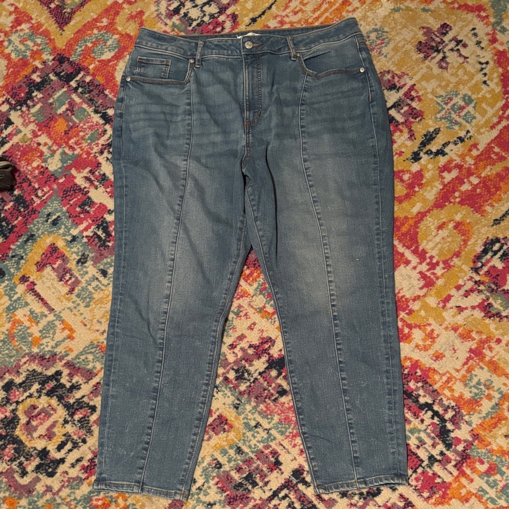LOFT Light Blue Denim Jeans 34/18